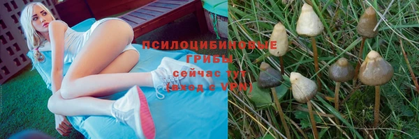 твердый Богородицк